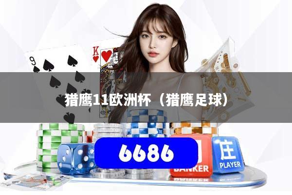 猎鹰11欧洲杯（猎鹰足球）